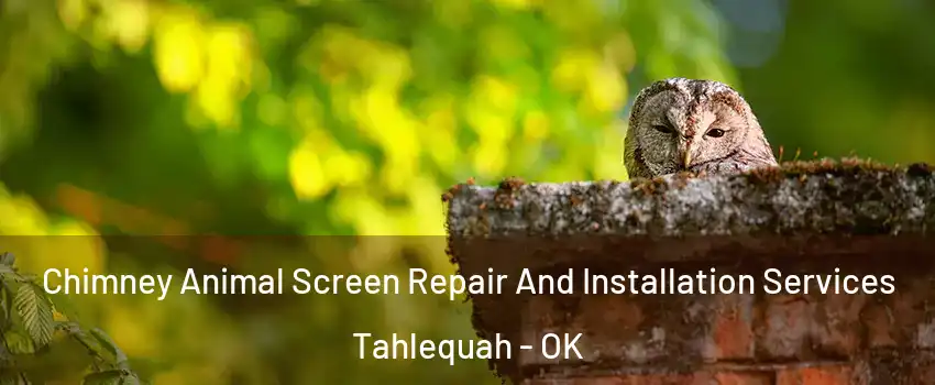  Chimney Animal Screen Repair And Installation Services Tahlequah - OK