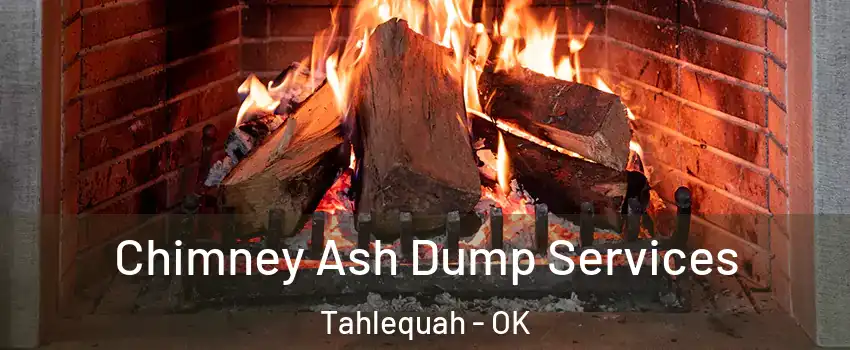  Chimney Ash Dump Services Tahlequah - OK