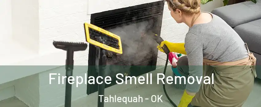  Fireplace Smell Removal Tahlequah - OK