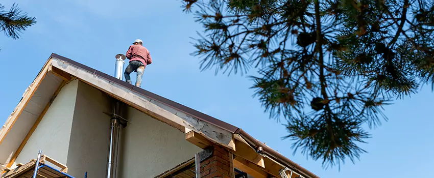 Birds Removal Contractors from Chimney in Tahlequah, OK