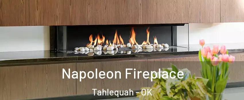  Napoleon Fireplace Tahlequah - OK